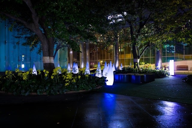 Landscape Lighting